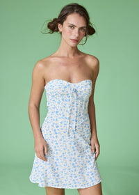 Paulina Blue Floral Mini Dress