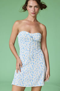 Paulina Blue Floral Mini Dress