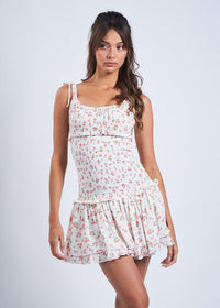 Whitney Crimson Rose Mini Dress