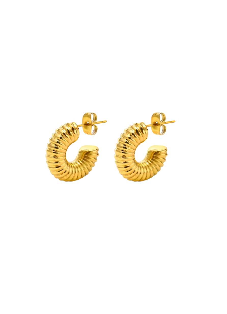 Gold Coiled Earrings