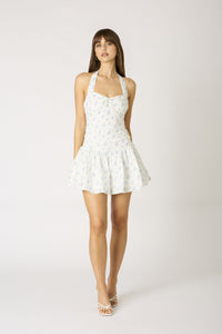 Shira Blue Floral Flared Mini Dress