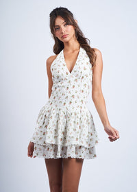 Cassidy Red Rose Mini Dress